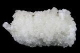 2.4" Stilbite and Apophyllite Crystals on Mordenite - India - #168734-1